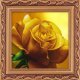 Фото набір для творчості Жовта троянда