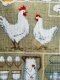 Фото Le Bonheur des Dames Poules et ceufs (Кури і яйця) 1055