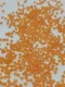 Фото Бісер 17389 Помаранчевий