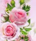Фото алмазна мозаїка Троянди