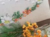 Фото Serenita di Campagna Схема Un Cuore Di Montagna CV144