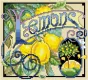 Фото Kooler Design Studio Схема Lemons (Barbara Baatz) KDS-2315