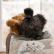 Фото Acufactum Книга Beloved Home 4062