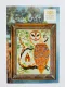 Фото Схема для вишивання Cottage Garden Samplings The Barn Owl