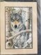 Фото Набір для вишивання хрестиком Dimensions Wintry Wolf (Зимовий вовк) 03228