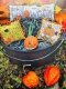Фото Shepherd's Bush Схема Halloween Trifles