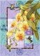 Фото Kooler Design Studio Схема Orchids and Hummingbirds KDS-2243