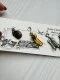 Фото Susan Clarke Originals Calif. Wine Set - Charms SET-69