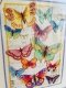 Зображення набору Dimensions Краса метеликів 70-35338