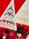 Фото Emie Bishop буклет зі схемами Christmas Tree Lane CNP143