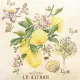 Фото Les Brodeuses Parisiennes Схема Etude aux Citrons+тканина, пришивний шарм ECIL/CRE