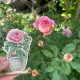 Фото Набір для вишивання хрестиком Kingdom of Handmade по дереву Троянда FL-02