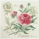 Фото Les Brodeuses Parisiennes Схема Etude a la Pivoine+тканина, пришивний шарм