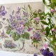 Фото Les Brodeuses Parisiennes Схема Etude a la violette+тканина, пришивний шарм