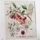 Фото Les Brodeuses Parisiennes Схема Etude aux Cerises +тканина, пришивний шарм ECL/CRE