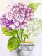 Фото набір для вишивання Чарівна Мить Гортензія М-262