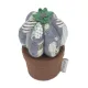 Фото Голківниця Hobby Gift Cactus Hoedown PCC.322