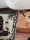 Фото Юлія Craft Схема + пак матеріалів Відьмин капелюх