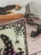 Фото Юлія Craft Схема + пак матеріалів Відьмин капелюх