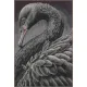 Фото Набір для вишивання хрестиком Lanarte Black Swan PN-0216657