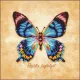 Фото Набір для вишивання хрестиком Lanarte Papilio Laglaizei PN-0222193