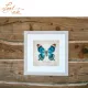 Фото Набір для вишивання хрестиком Lanarte Papilio Laglaizei PN-0222193