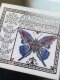 Схема для вишивання Rosewood Manor Blue Watercolor Butterfly фотографія
