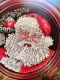 Схема Stoney Creek 1990 Santa Christmas Plate фотографія