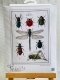Набір для вишивання хрестиком Thea Gouverneur Історія комах фото