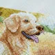 Фото Набір для вишивання хрестиком TelaArtis Золотистий ретривер Х-1204
