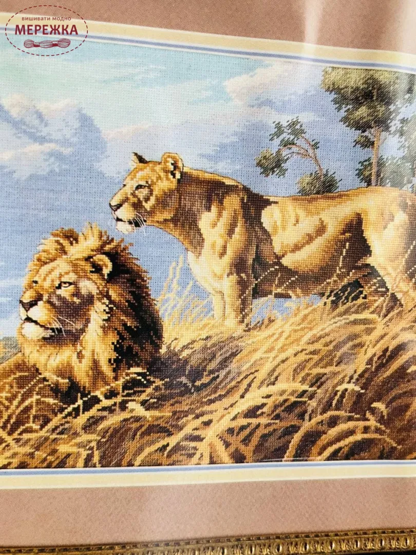 Набір для вишивання хрестиком Dimensions African Lions 03866