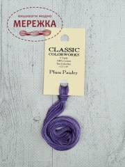 Фото Муліне ручного фарбування Classic Colorworks Plum Paisley CCT-149