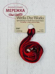 Фото Муліне ручного фарбування Weeks Dye Works Ladybug 2267