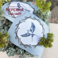 Фото Acufactum Етикетка Maxi Patch Schwalbe 80*80mm 35416