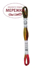 Фото DMC Муліне Coloris 4511