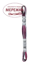 Фото DMC Муліне Coloris 4513