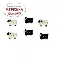 Фото Вівці 5832