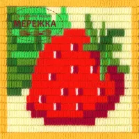 Набір для вишивання вертикальним стібком Stitch me 16*16см. I-002 фото