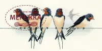 Фото Набір для вишивання хрестиком Bothy Threads Birds: Swallows DWBB05