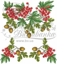 Фото блуза бісером Барвиста Вишиванка