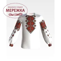 Фото блуза дитяча БДд048