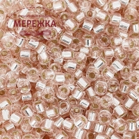 Фото Бісер MIYUKI Delica Beads Round 11/0, 6,25 гр. DB-1203