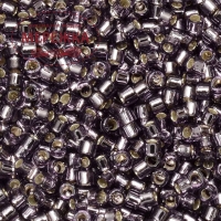 Фото Бісер MIYUKI Delica Beads 11/0, 6,25 гр. DB-1205