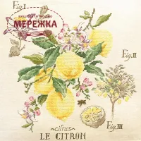 Фото Les Brodeuses Parisiennes Схема Etude aux Citrons+тканина, пришивний шарм ECIL/CRE