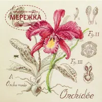 Фото Les Brodeuses Parisiennes Схема Etude a la Orchidee+тканина, пришивний шарм