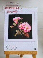 Фото Thea Gouverneur Троянда Leersum 412.05