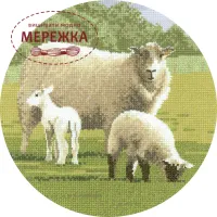 Фото HeritageCrafts Схема Вовняні светри HC448