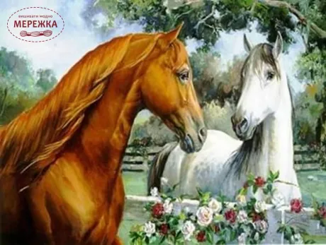 Фото набір діамантова техніка Двоє