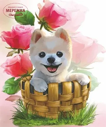 Фото набір алмазна мозаїка Моя радість