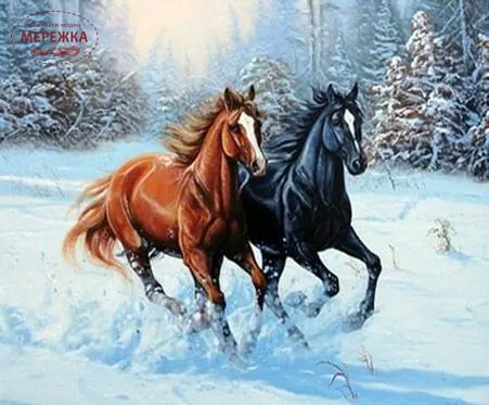 Фото діамантова мозаїка Шалений біг